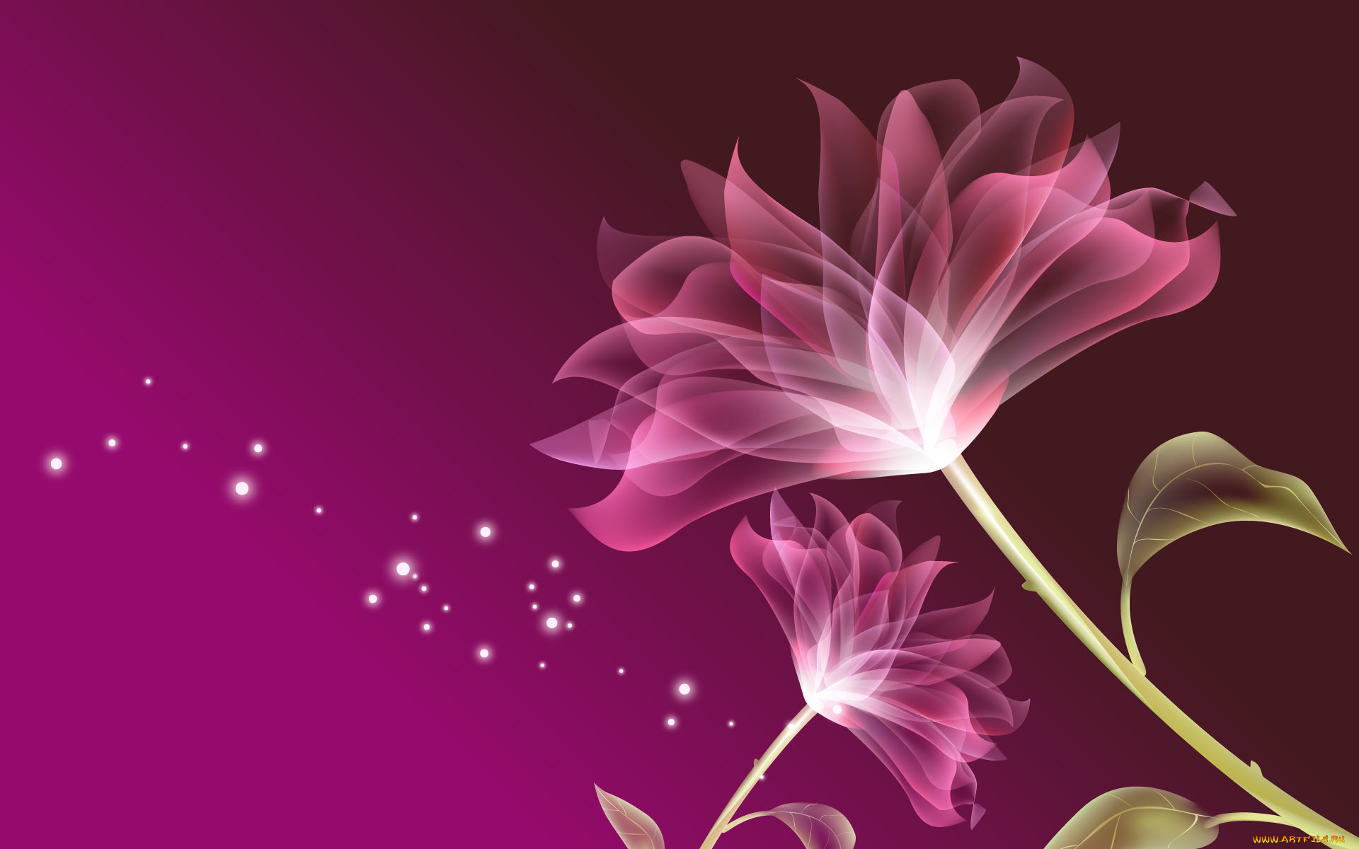 3, , flowers, 
